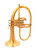 The best of the Best! AR Resonance Soave Flugelhorn in Matte Gold Plate