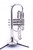 We have one in stock!  Getzen 800DLX Eterna Deluxe Bb Cornet in silver 