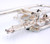 The Amazing Schagerl Raweni Bb Rotary Pre-Owned Trumpet in Silver Plate