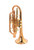 The CarolBrass CCR-9990RSM Bb Cornet in Clear Lacquer 