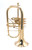 Pre-Owned Scodwell Flugelhorn in Clear Lacquer 