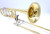 S.E. Shires Q Series 36YR Bass Trombone 