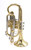  Bach Large Bore  Stradivarius 184  Shepherds' Crook Cornet: Great player!
