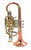Pre-Owned Getzen 3850 Custom Series cornet in Clear Lacquer 