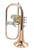 Pre-Owned Yamaha YFH-631G Flugelhorn in Clear Lacquer 