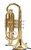 Shop Demo Carolbrass CCR-2000-YSS-L Bb Cornet 