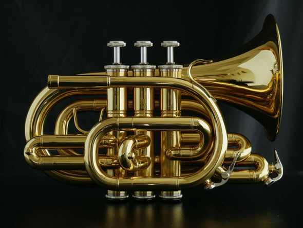 Manchester Brass Large Bell Pocket Trumpet in Polished Lacquer