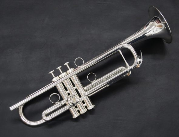 Amazing first pro trumpet:  Check out the Brasspire Unicorn 770S