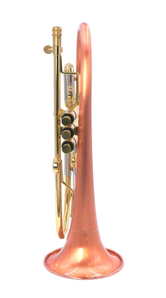Taylor Phat Puppy Plus:  Super unique Flugelhorn!