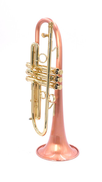 Taylor Phat Puppy Plus Flugelhorn in Clear Lacquer 