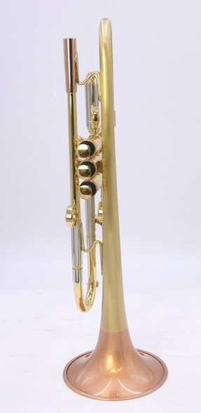 Taylor Piranha Trumpet in Clear Lacquer w/ Polished Accents and Bell and Bauerfeind valves