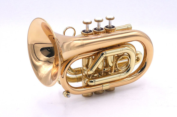 New and in Stock! Carolbrass CPT-3000-GLS-Bb-L Pocket Trumpet in Clear Lacquer 
