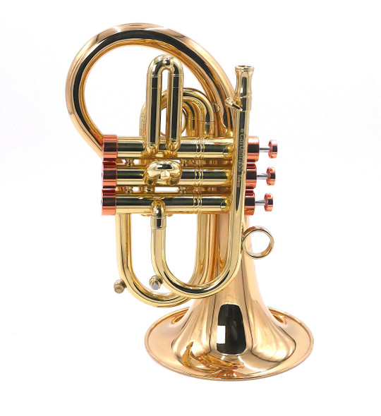 Taylor by Carolbrass Phat Puppy Pocket Flugelhorn in Clear Lacquer 