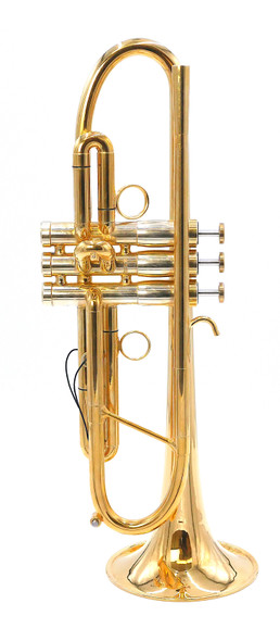 A Rare Beast indeed:   Monette MF Trumpet in Polished  Gold Plate