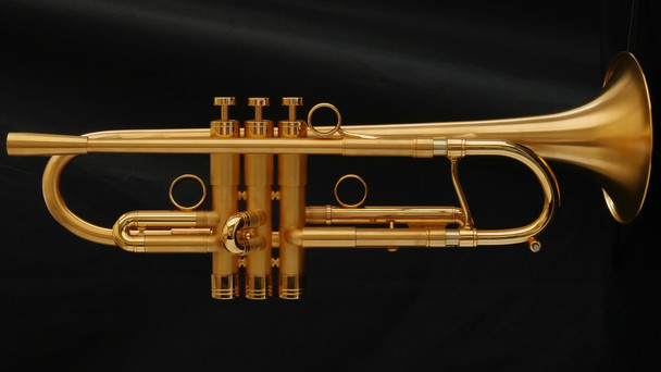 Custom Adams A4 Trumpet in Brushed Gold Plate with Polished Accents!
