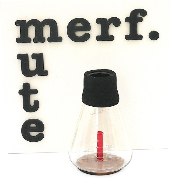 Merf Mute Heisenberg Practice/Warm-Up Mutes