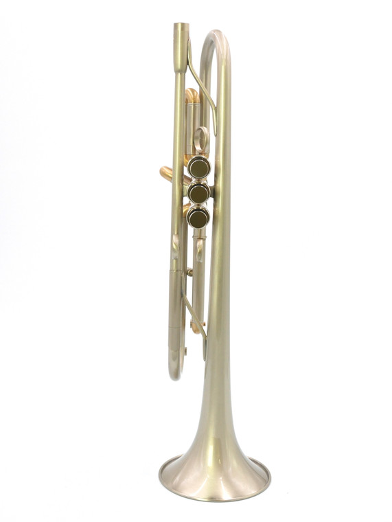 Brand New in the shop AR Resonance Classica Trumpet