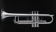 Schagerl Academica TR-620S Bb Trumpet in Silver Plate