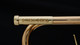 Schagerl Academica TR-620CL C Trumpet in Lacquer