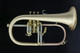 ACB Doubler's Flugelhorn: Our #1 Selling Product at ACB!