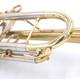 Brasspire Unicorn 900H Heavy Trumpet:  A great upgrade from your rental! 