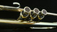 Adams A6 Selected Series Trumpet in Polished Lacquer!