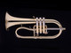 Schagerl Dione Flugelhorn: Build Your Own!