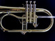 Schagerl Dione Flugelhorn: Build Your Own!