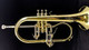Schagerl Dione Flugelhorn: Build Your Own!