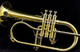 Schagerl Dione Flugelhorn: Build Your Own!