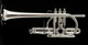 Schagerl Raweni Trumpet: Build Your Own!