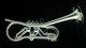 Schagerl Spyder Trumpet: Build Your Own!