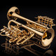 Schagerl Berlin Model Piccolo Trumpet: Build Your Own!