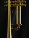Starter Player Bundle: Adams ACB Collaborative Bb Trumpet, ACB 3C mouthpiece, DW Straight Mute, Trumpet Stand, and Care Kit!
