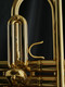 Starter Player Bundle: Adams ACB Collaborative Bb Trumpet, ACB 3C mouthpiece, DW Straight Mute, Trumpet Stand, and Care Kit!
