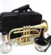 Brass Band Bundle! ACB Doubler's Dual Trigger Large Bore Shepherd's Crook Cornet, ACB Fab cornet mouthpiece, DW Straight, DW Cup mute, Care kit, and stand!