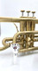 Brass Band Bundle! ACB Doubler's Dual Trigger Large Bore Shepherd's Crook Cornet, ACB Fab cornet mouthpiece, DW Straight, DW Cup mute, Care kit, and stand!