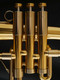 The Incredible New Adams F3 Selected Flugelhorn in Satin Lacquer!