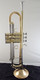 Manchester Brass Professional Bb Trumpet in Clear Lacquer with Gold Brass Bell