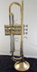 Manchester Brass Professional Bb Trumpet in Clear Lacquer with Gold Brass Bell