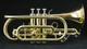 The Wonderful  Manchester Professional Bb Cornet with Gold Brass Bell