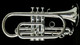 Austin Custom Brass   Model Doubler's Cornet! 