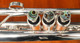 Amazing first pro trumpet:  Check out the Brasspire Unicorn 770S