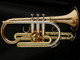 Getzen 800DLX Eterna Deluxe Bb Cornet