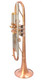 Brand New AR Resonance Feroce Trumpet!  A  True work of art!