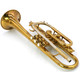 Vintage Holton Model 29 Cornet in Clear Lacquer