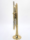 Amazing Adams Prologue Trumpet