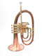 A.R. Resonance Nakariakov 4 Valve Flugelhorn Bronze Bell