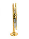 The Wonderful Professional Schagerl Academica TR-620L Bb Trumpet in Lacquer