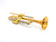 The Wonderful Professional Schagerl Academica TR-620L Bb Trumpet in Lacquer